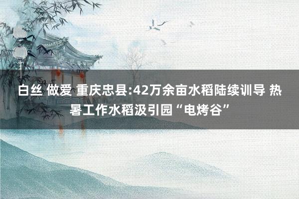 白丝 做爱 重庆忠县:42万余亩水稻陆续训导 热暑工作水稻汲引园“电烤谷”