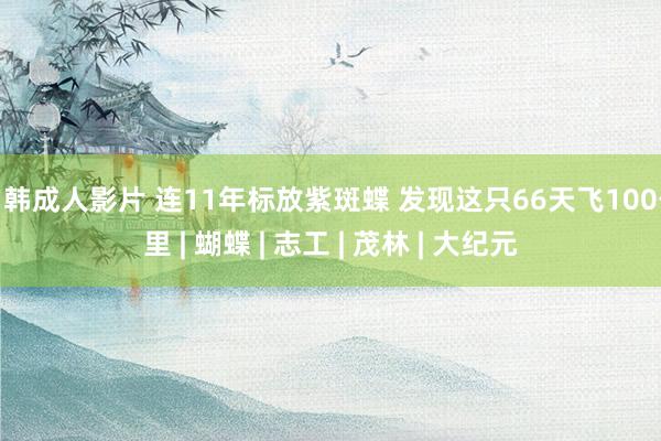 日韩成人影片 连11年标放紫斑蝶 发现这只66天飞100公里 | 蝴蝶 | 志工 | 茂林 | 大纪元