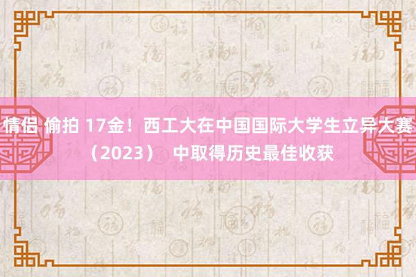 情侣 偷拍 17金！西工大在中国国际大学生立异大赛（2023）  中取得历史最佳收获