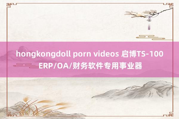 hongkongdoll porn videos 启博TS-100 ERP/OA/财务软件专用事业器