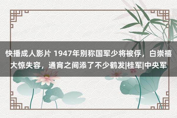 快播成人影片 1947年别称国军少将被俘，白崇禧大惊失容，通宵之间添了不少鹤发|桂军|中央军